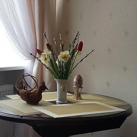 V.i.p.apartmens Rynok Sqr.19 *
